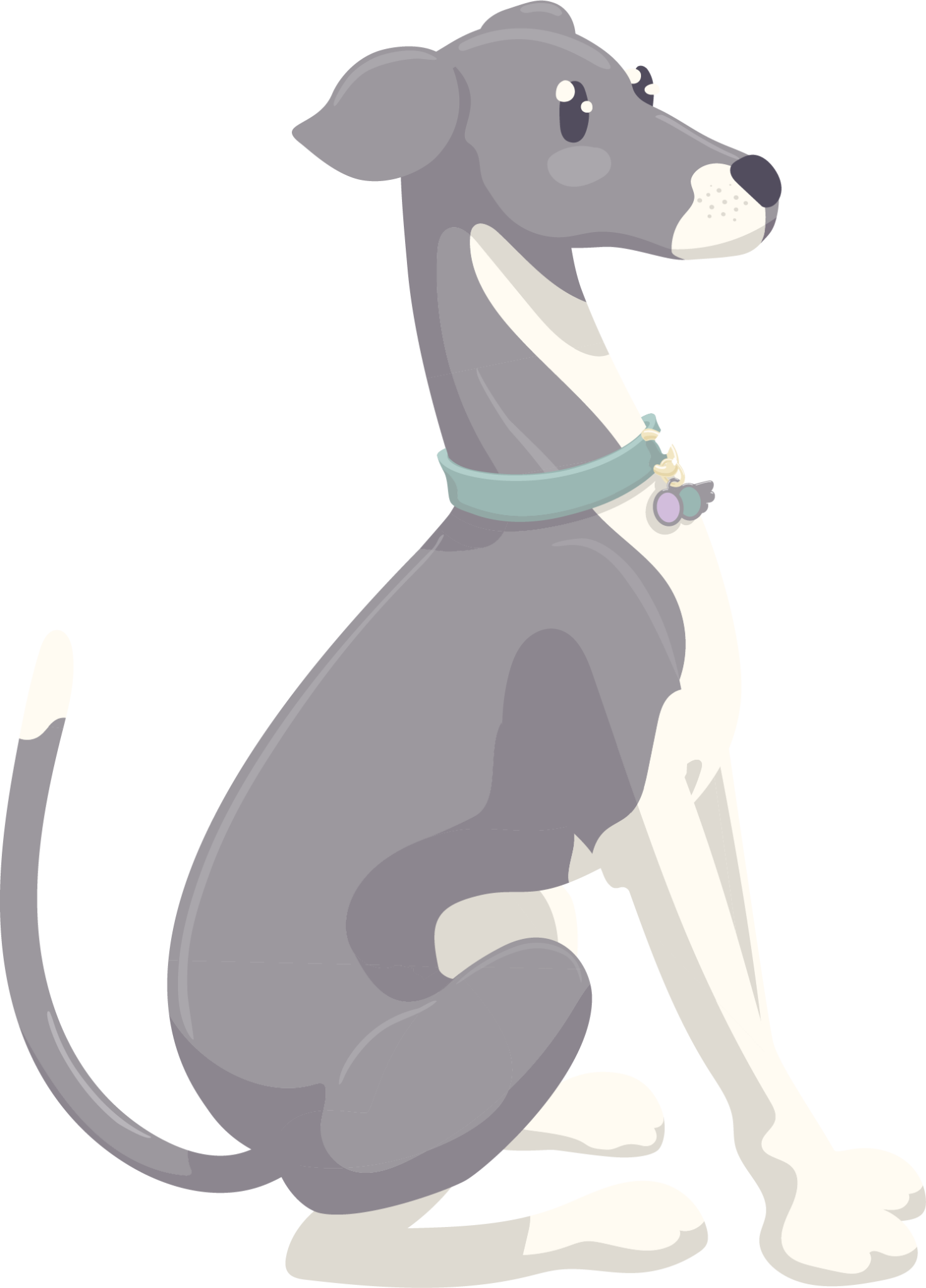 Contact The Greyhound Group